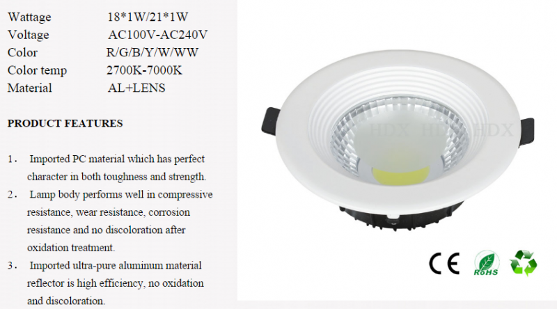 LED DownLighters