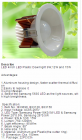 LED DownLighters