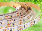 LED Strip Lights