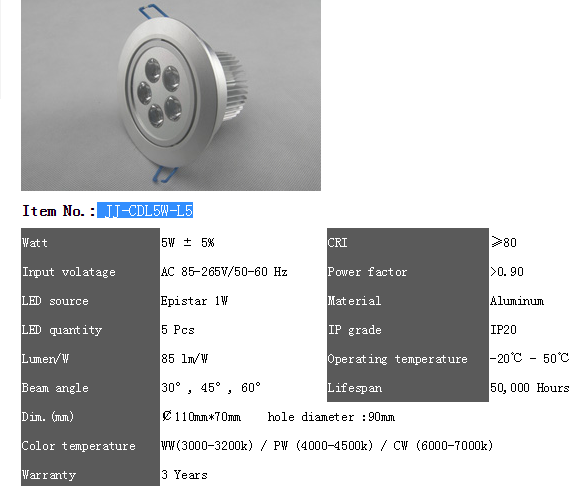 LED DownLighters