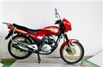 Electric Motorcycle (YJ125-16)