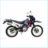 Electric Motorcycle (YJ150GY-4)