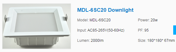 LED DownLighters