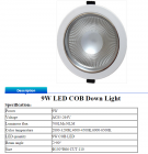 LED DownLighters