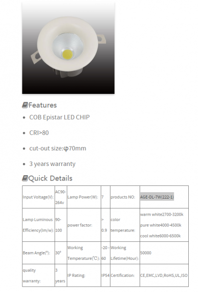 LED DownLighters