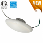 LED DownLighters