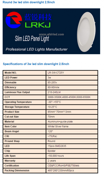 LED DownLighters