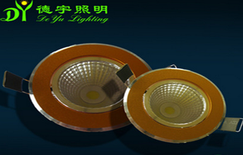 LED DownLighters