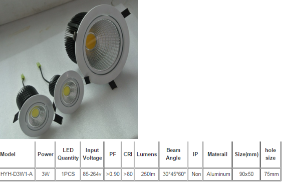 LED DownLighters