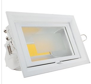 LED DownLighters