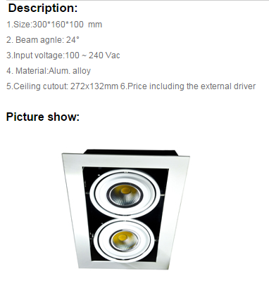 LED DownLighters