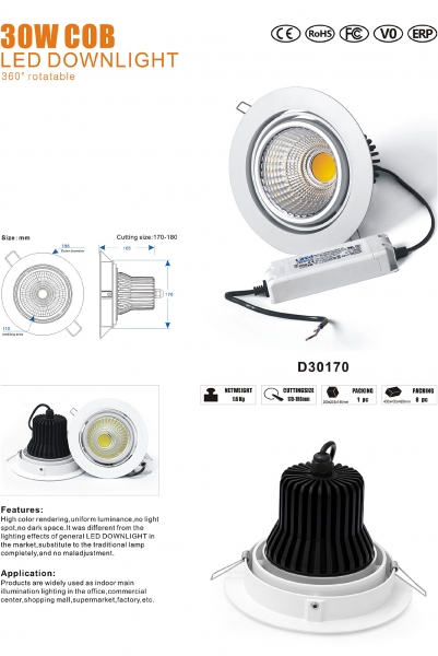 LED DownLighters