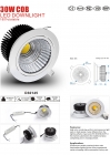 LED DownLighters