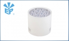 LED DownLighters