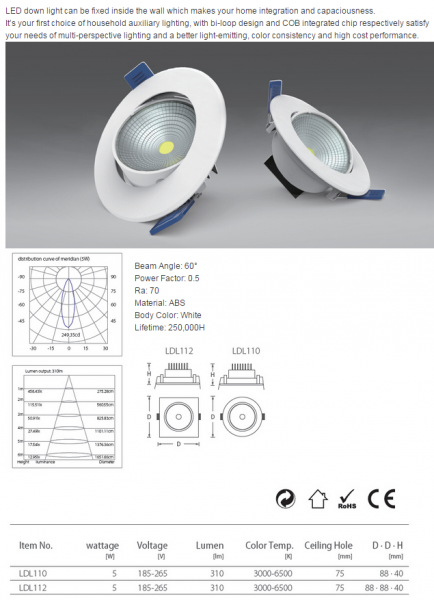 LED DownLighters