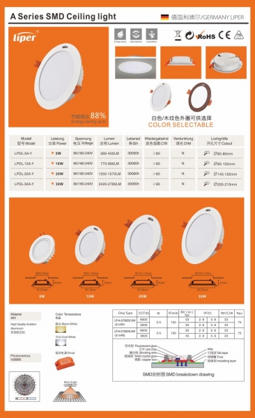 LED DownLighters