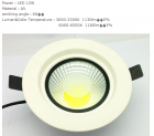 LED DownLighters