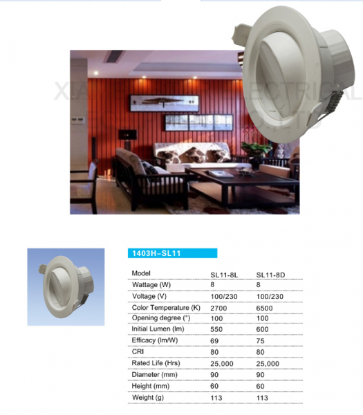 LED DownLighters