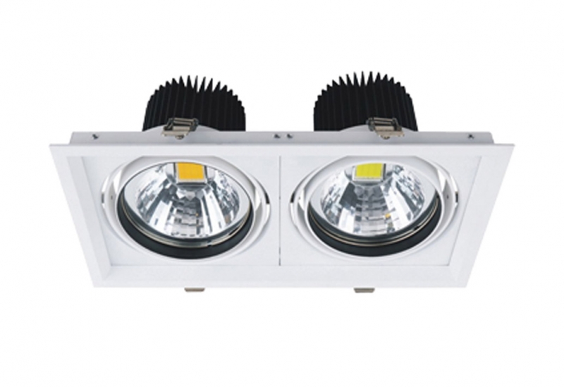 LED DownLighters