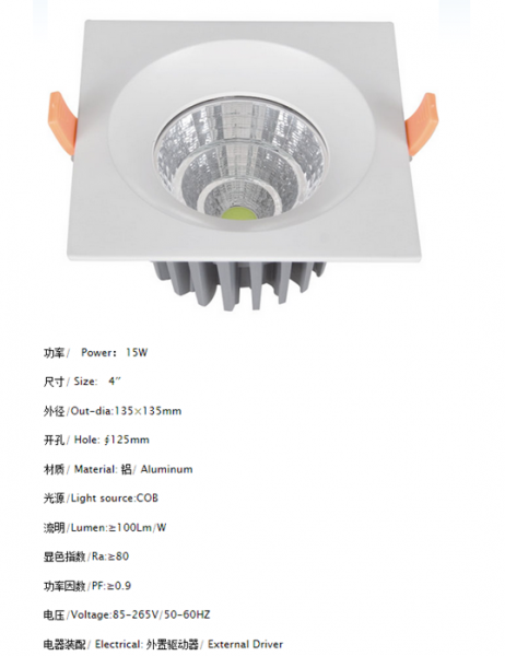 LED DownLighters