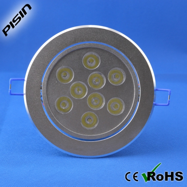 LED Ceiling Lamps