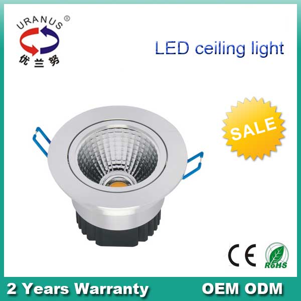 LED Ceiling Lamps