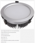 LED DownLighters