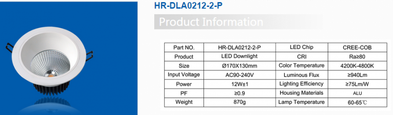 LED DownLighters