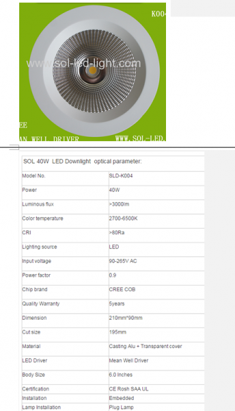 LED DownLighters