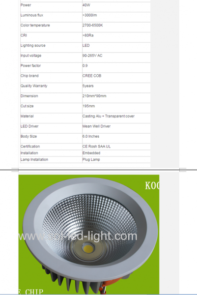 LED DownLighters