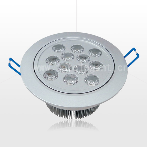 LED Ceiling Lamps