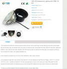 LED Underground Light