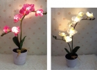 LED Decoration Lights