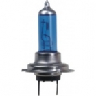 Halogen Bulbs