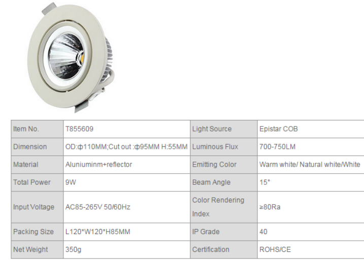 LED DownLighters