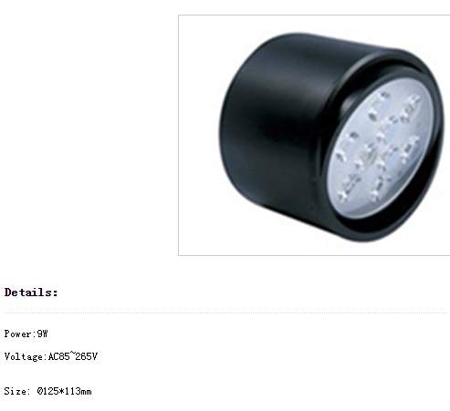 LED DownLighters