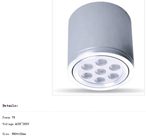 LED DownLighters