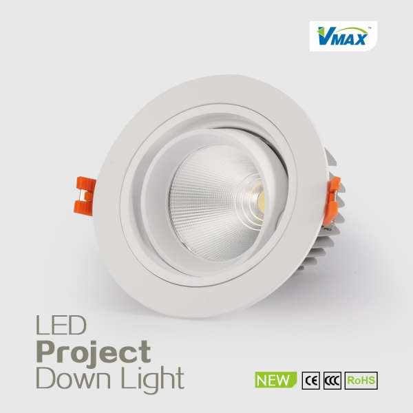 LED DownLighters