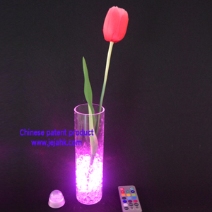 LED Decoration Lights