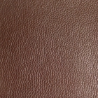 Synthetic Leather