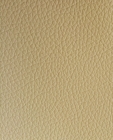 Synthetic Leather