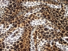 Printed Fabric