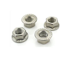 Hex Nut