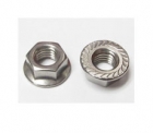 Hex Nut