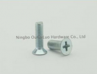 Flat Head Machine Screw