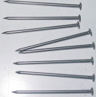 Common Nail