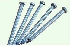 Galvanized steel nail