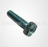 Hex Phillips screw