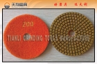 Abrasive Pad