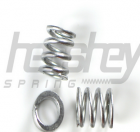 Compression Spring